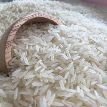 Thai long grain jasmine Rice 5%broken New crop 2021-2022 from SIAM PROGRESS SUPPLY CO.,LTD. Thai long grain jasmine Rice 5%broken New crop 2021-2022 - SIAM PROGRESS SUPPLY CO.,LTD. - Thailand