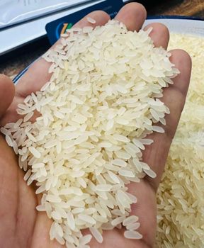 100% Basmatic Rice Long Grain Basmatic Rice Hot Sale Super Jasmine Rice Long Grain Parboiled Cheap Super Quality - Smart Agri GmbH - Germany