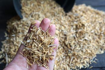 Rice Husk – product photo, Rice Husk Pellet products found from trusted suppliers, wholesalers, manufacturers & exporters Listing
