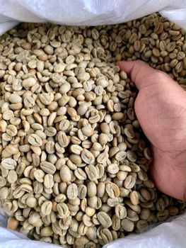 Robusta Green Coffee Beans - WOLU ARTHA GLOBAL - Indonesia