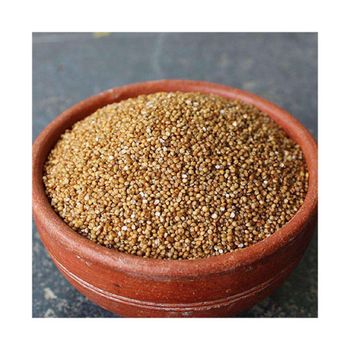 Premium flax seeds available in bulk for wholesale buyers and distributors - MASI TRADING GMBH - Germany