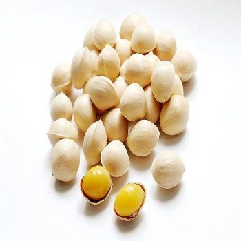 Premium Quality Ginkgo Nuts For Healthy Snacking Rich Natural Flavor Buy Online At Best Price - CPW TRADE LTD - United Kingdom