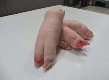 Frozen Pork Feet - Industrias Carniças Montronill SAU - Spain
