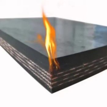 High Abrasion Resistant Strong Ring Heat Resistant Fabric Conveyor Belt for Mining Industry - LIUYANG CHENG LI CONVEYING MACHINERY CO., LTD. - China