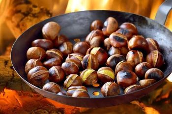 Best Quality Wholesale Price Good Quality Chestnuts Organic Chestnut Kernel Raw Fresh Steamed Chestnut With Factory Hot - CPW TRADE LTD - United Kingdom