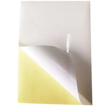 Self Adhesive Cast Coated High Glossy Paper Label Materials - Jiaxing Zhengshuo Packing Technology Co., Ltd. - China