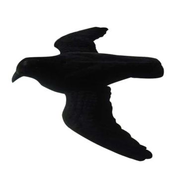 Vivid Flocked Hard Plastic Flying Black Crow Hunting Decoy Crow Decor - Ningbo Hongbao Import & Export Co., Ltd. - China