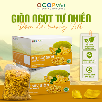 Mít sấy giòn - Crispy Dried Jackfruit Brand Name OCOP Viet Place of Origin Vietnam Packaging Details - OCOP VIET COMPANY LIMITED - Vietnam