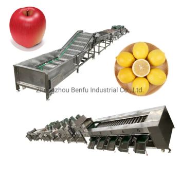 Vegetable and Fruit Washing Drying Waxing Sorting Processing Machine Used for Citrus Apple Mango Nectarine Orange Avocado - Zhengzhou Benfu Industrial Co., Ltd. - China