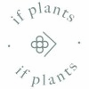 Product - IF PLANTS NURSERIES · PÉPINIÈRES · VIVAIOS - Spain