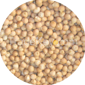 salted roasted chickpeas - TRADE NEPAL LLC - United States