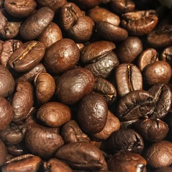High Demand Coffee Beans Whole Premium Quality with Rich Flavor for Coffee Shops Roasters and Distributors - S-SQUAD - France