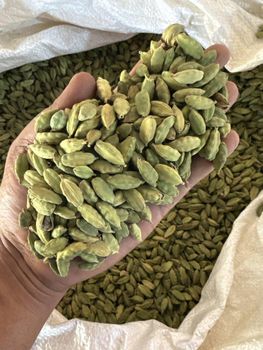 Green Cardamom – product photo, Green Cardamom Spice products found from trusted suppliers, wholesalers, manufacturers & exporters Listing