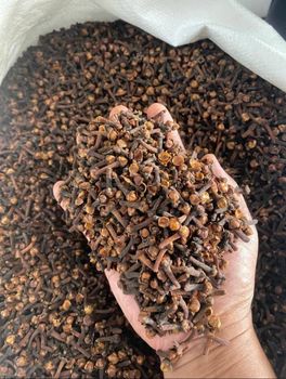FOREST CLOVES Origin Indonesia Features Organic Product Type Olive Oil, Spices, Spices, Seasonings & Flavors - Pt. Nusantara Global Exportindo - Indonesia