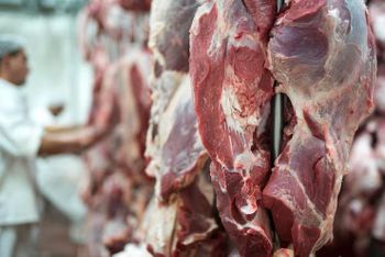 Premium Halal Mutton & Beef Cuts – Fresh & Frozen Technique Halal Type Mutton / Beef Storage Type -18°C or below Grade A Grade – Export - Spices Expert  - Pakistan