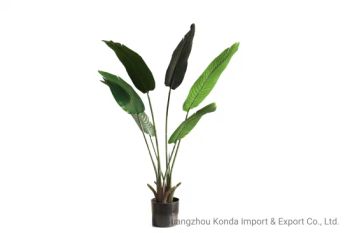 Decorative Home Hotel Traveler Banana Tree Outdoor Simulated Green Plants - Guangzhou Konda Import & Export Co., Ltd - China