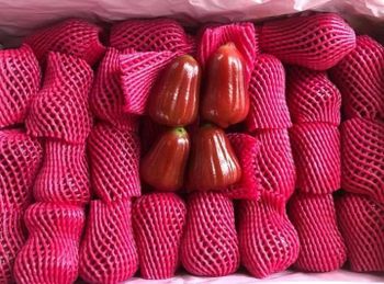 Rose Apple Grade A Texture Crisp Packaging 500g Type Rose Apple Shape Bell Shape Color Pink To Red Flavor Sweet And Juicy - Blue Jay Oriental Foods Thailand Ltd - United Kingdom