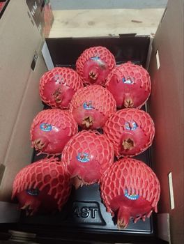 pomegranate Packaging box Grade big size Origin Uzbekistan Manufacturer Uzbekistan Texture Chewy, Firm, Smooth Processing Method Cold-pressed - Freeze Dried Fruit LTD - Uzbekistan