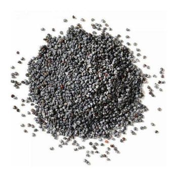 Export quality poppy seeds offered for distributors with cost-effective trade options - Medcompex Gmbh - United Kingdom