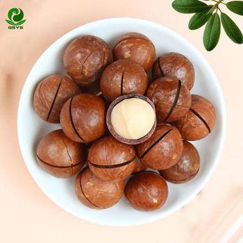 Premium Macadamia Nuts |Premium Macadamia Kernels|Extra Virgin Macadamia Oil & Refined  | Bulk Macadamia Nuts & Kernels – product photo, Refined Edible Oil products found from trusted suppliers, wholesalers, manufacturers & exporters Listing