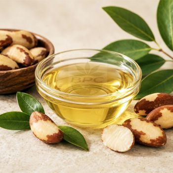 Brazil Nut Oil from Zabs Holdings Brazil Nut Oil – product photo, Ground Nut Oil products found from trusted suppliers, wholesalers, manufacturers & exporters Listing