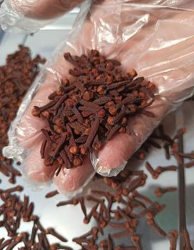 Clove - PT. AZAN INDO GROUP - Indonesia
