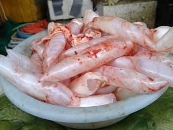 Fish maw powder - BF GLOBAL TRADING (PTY) LTD - South Africa
