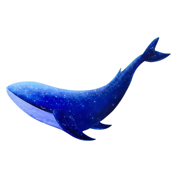 Product - Weifang Bluewhale Fishing Tackles Co., Ltd. - China