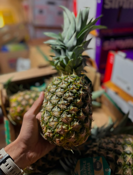 DEL MONTE Gold Pineapples Sweet Fresh Pineapples High Juice Content 15kg Cartons Sweet Pineapples On Sale from Sosa Merchant Solutions DEL MONTE Gold Pineapples Sweet Fresh Pineapples High Juice Content 15kg Cartons Sweet Pineapples On Sale - Sosa Merchant Solutions - Austria