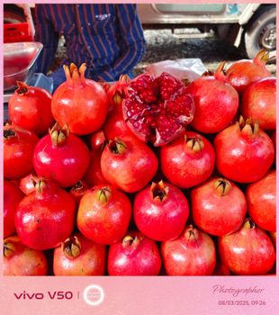 Pomegranate Fruit - karvi agro limited - India