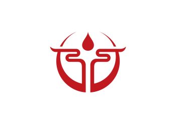 Product - Zhongke Xinglin (Shandong) New Materials Co., Ltd. - China