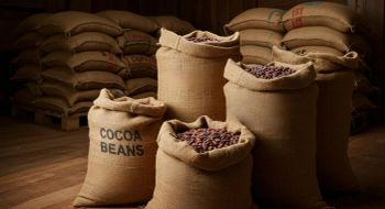 Premium Industrial Jute Bags (A-Twill / B-Twill Bulk Export) - MHB GLOBAL NETWORKS - South Africa