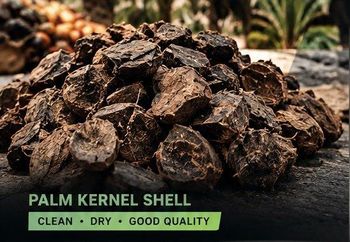 palm kernel shell - PT Buana Raya Nusantara Bersama - Indonesia