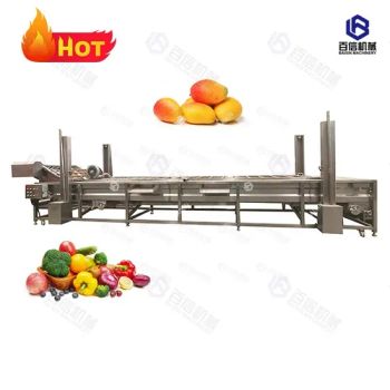 High-Capacity Portable Fruit and Vegetable Washing Machine Fruit Cleaning Machine - Henan Baixin Machinery Equipment Co., Ltd. - China