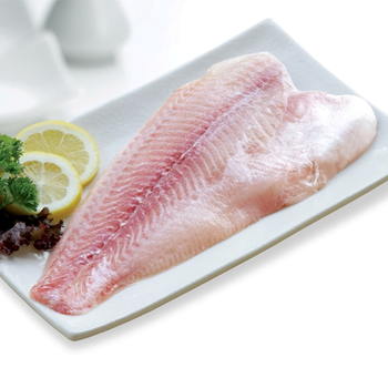 FRESH PANGASIUS FILLET WELL-TRIMMED WITH IQF PACKING FROM VIETNAM - TANIS IMPORT & EXPORT COMPANY LIMITED - Vietnam