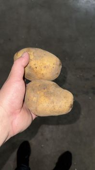 patatoes – product photo, Potatoes products found from trusted suppliers, wholesalers, manufacturers & exporters Listing