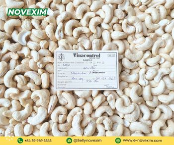 Cashew Nuts WW180