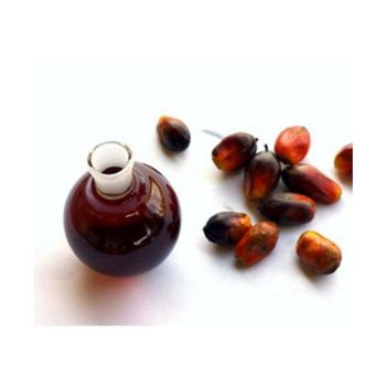 Premium refined palm oil supplier and exporter providing high quality edible palm cooking oil in bulk quantities for restaurants food processing industries wholesalers and international importers with worldwide shipping. - SATTER FOOD AND BEVERAGE - Netherlands