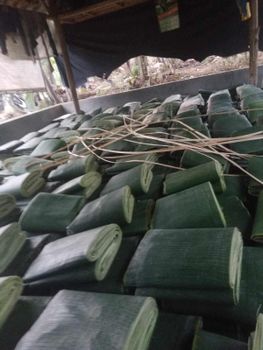 Banana Leaf/Leaves, Fresh/Frozen for Air Freight possible Ocean Freight - PT. Putri Tani Toraja Indonesia - Indonesia