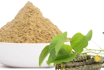 Giloy Extract (Tinospora cordifolia) Gmo Status Non-gmo Additives No Artificial Additives Source Plant Tinospora Cordifolia - Fiedel Trading & Exim Pvt. Ltd. - India