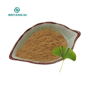 Herb Ginkgo Biloba Seeds Extracted Ginkgo Biloba Nuts With Vitamins Ingredients Ginkgo flavonoids 13% 24% - Botanical Cube Inc. - China