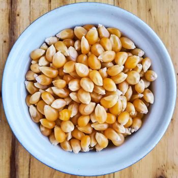 Premium Yellow Kernel Exporter Offering Yellow Maize With Clean Dried Quality For Importers - malter group - Tanzania