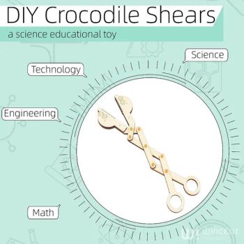 The Crocodile Cut Science Experiment Kits Stem DIY Tool Wood Toys - Skylark Network Co., Ltd - China
