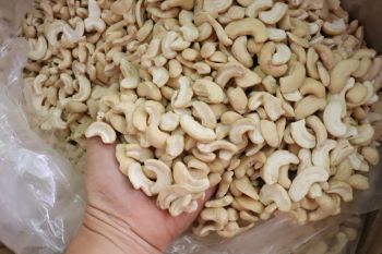 Cashew Nuts (W180,210,240,320) – product photo, Raw Cashew Nuts products found from trusted suppliers, wholesalers, manufacturers & exporters Listing