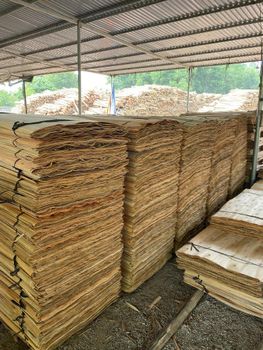 Eucalyptus core veneer Grade A And B Size 1270×640 Mm Thickness 1.7/1.8 Mm Moisture Content Under - New Century Co. Ltd - Vietnam