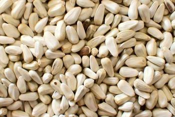 Safflower Seeds Purity ≥ 99% Moisture ≤ 8% Admixture ≤ 1% Oil Content ≥ 32% Origin Kazakhstan Color White / Cream Odor Natural, No - LLP KZ EXPORT - Kazakhstan
