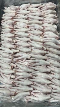 Frozen chicken paw - Nikan Kam Avaran Sepehr - Iran