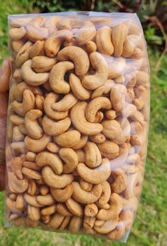 Raw Cashew Nuts High Quality OEM Vietnam Factory Supply Grade a Tin Box Packaging - PLANETE COMMERCE - France