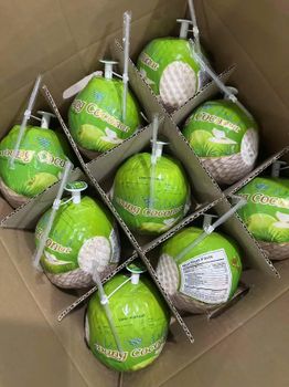 Coconut (Diamond cut or Easy-open) - DUA-DUA VIETNAM CO., LTD - Vietnam