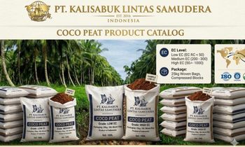 Palm Kernel Expeller Origin Indonesia Phthalate type Other Plasticizer Type Other Texture Fine Sifted (uniform Texture) Delivery Form Bag, Bulk Delivery, Sacks - PT. Kalisabuk Lintas Samudera - Indonesia